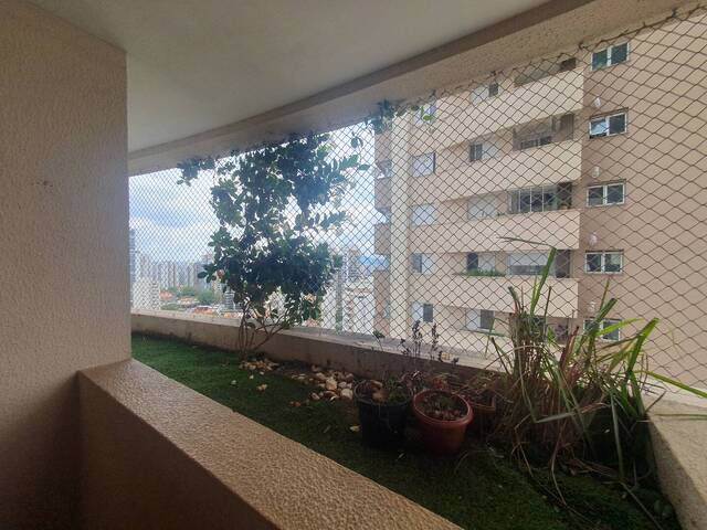 Apartamento para Locação em São Paulo - 4