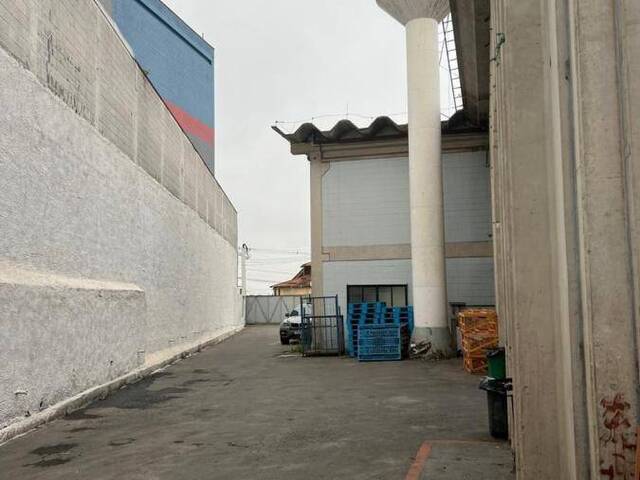 Prédio comercial para Venda em São Bernardo do Campo - 5