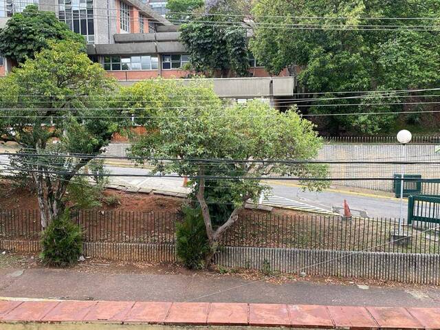 #162034 - Prédio comercial para Locação em São Paulo - SP - 3