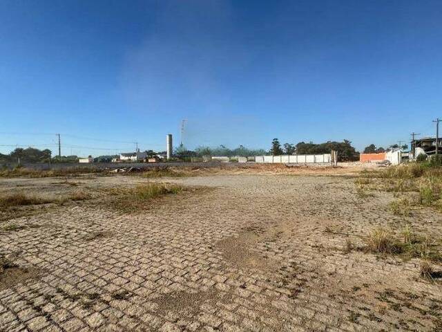 #162016 - Terreno para Venda em Mauá - SP - 3