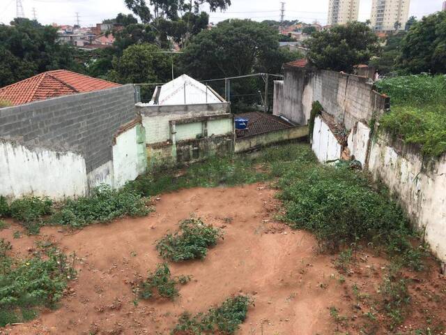 #145497 - Terreno para Venda em São Paulo - SP - 2