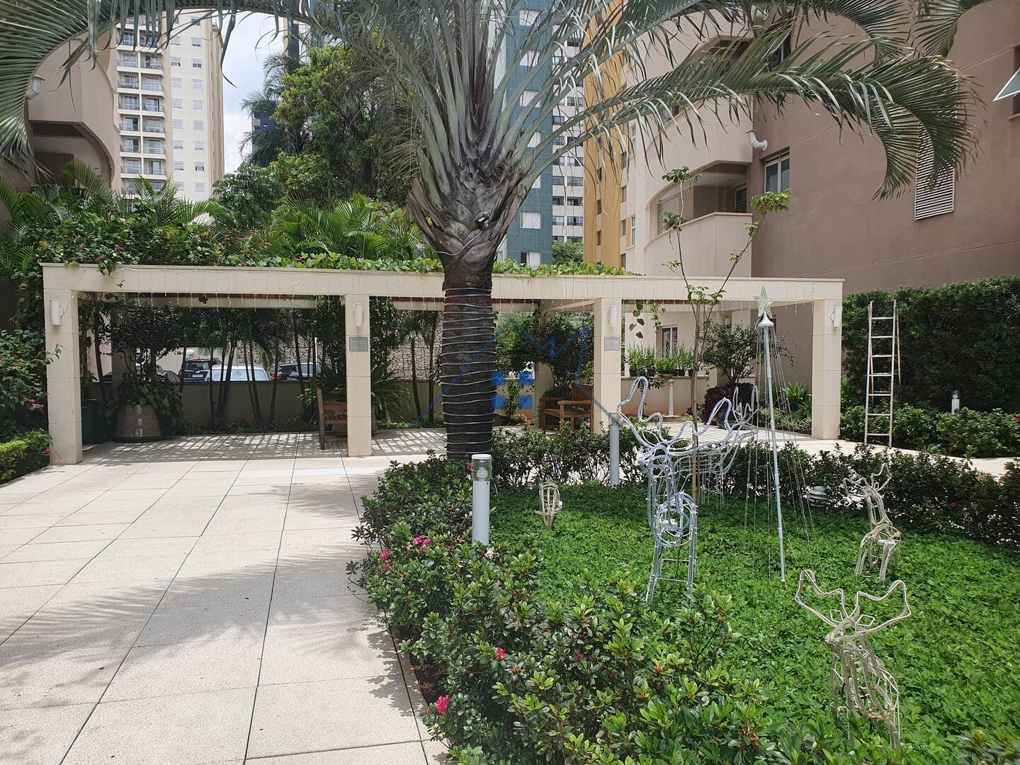 Apartamento, 3 quartos, 60 m² - Foto 18