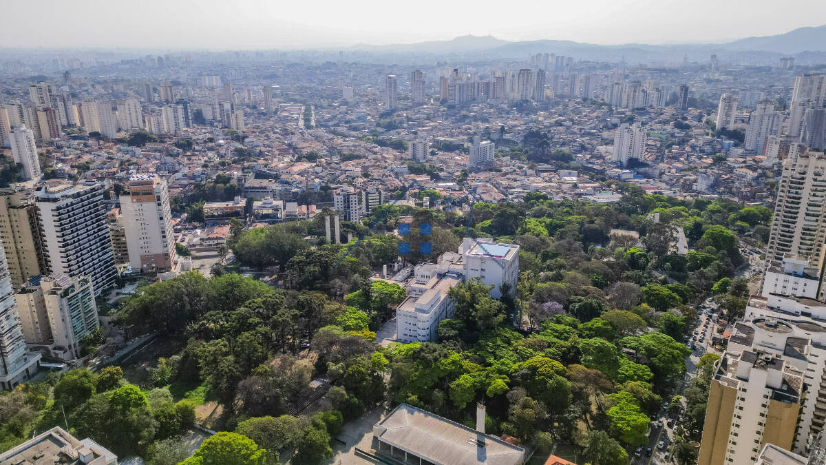Apartamento, 4 quartos, 200 m² - Foto 10