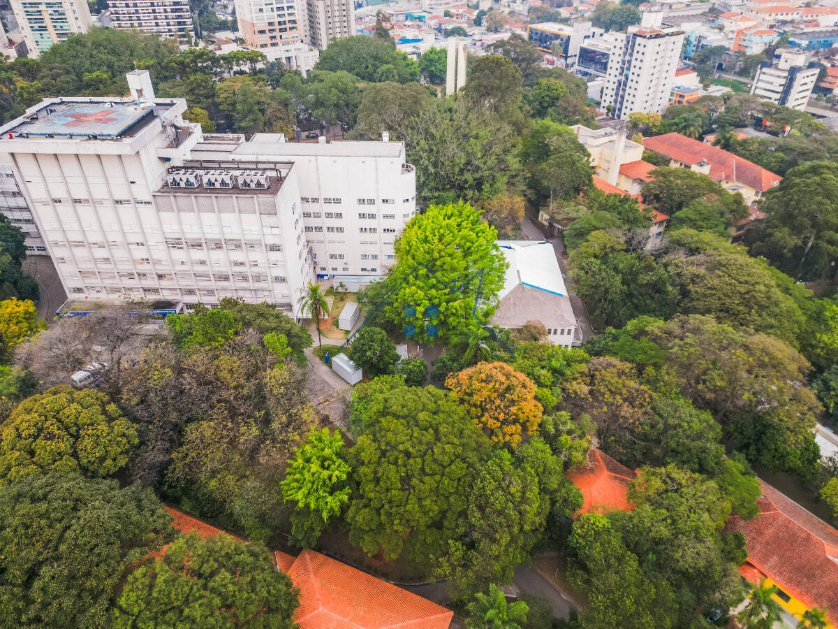 Cobertura, 4 quartos, 264 m² - Foto 37