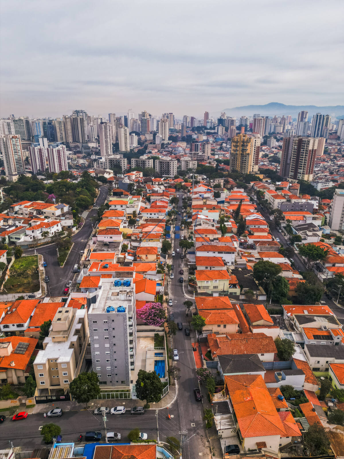 Casa, 4 quartos, 433 m² - Foto 14