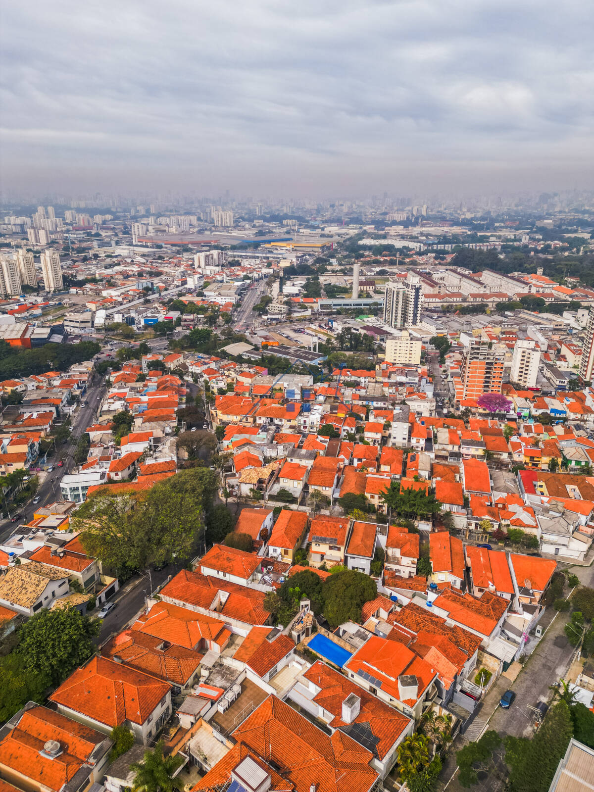 Casa, 4 quartos, 433 m² - Foto 17