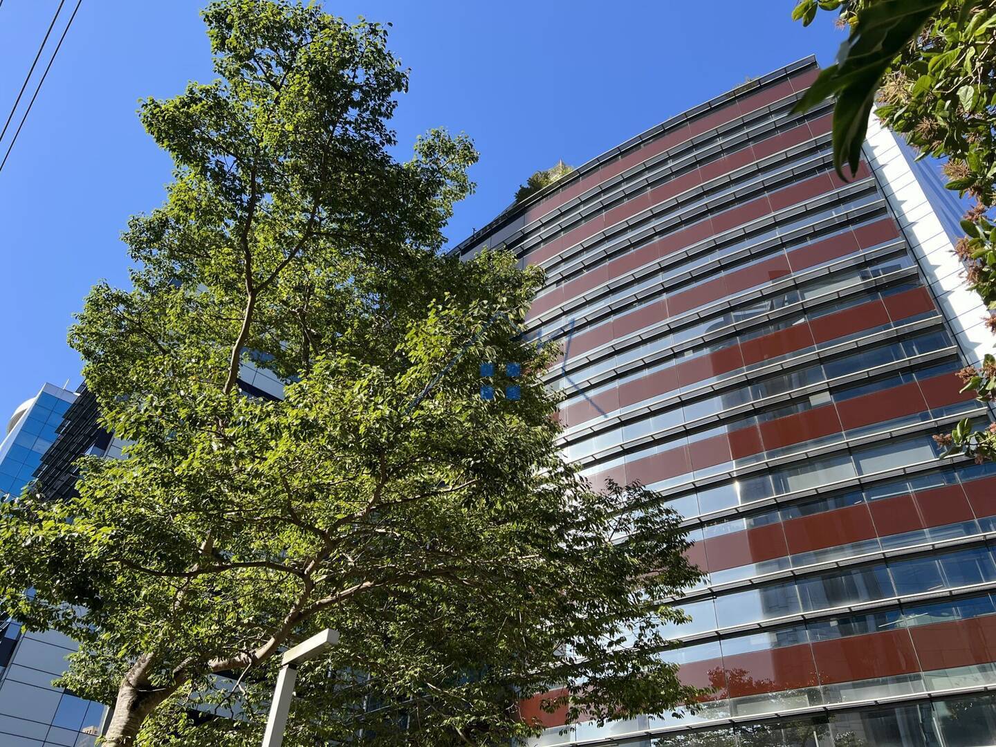 Prédio Inteiro, 1712 m² - Foto 17