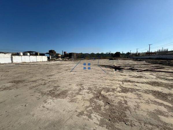 Terreno, 10000 m² - Foto 6